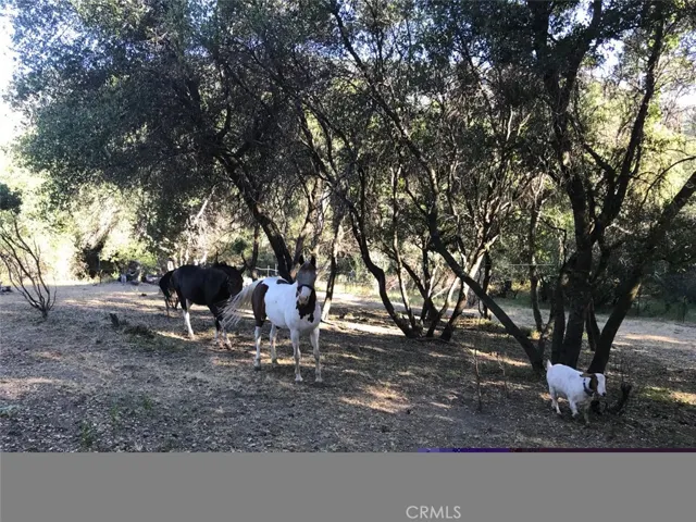 2255 Kemble Road, Mariposa, California 95338
