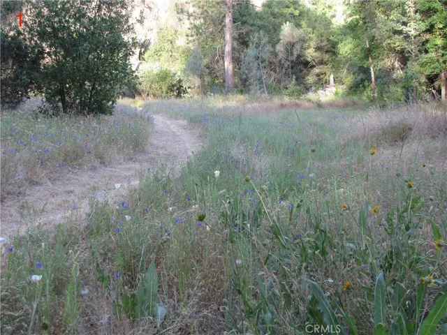 2255 Kemble Road, Mariposa, California 95338