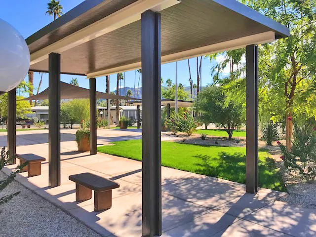 Oasis within the park