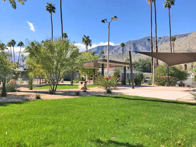Oasis within the park