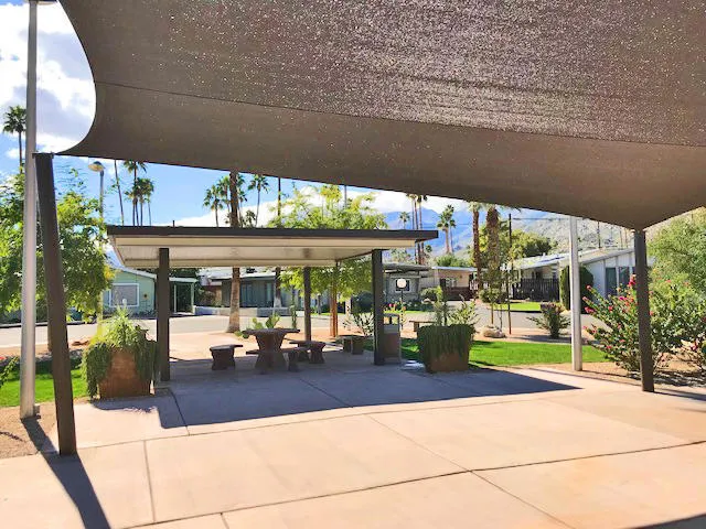 Oasis within the park