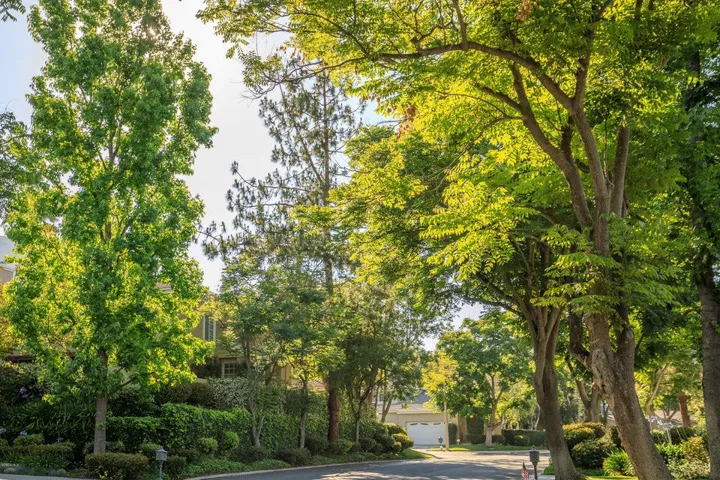819 Riverrock Cir-48