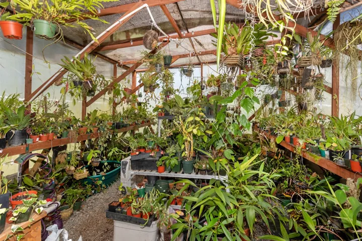 1418 Banyan Dr, Fallbrook, California 92028