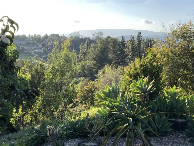 1418 Banyan Dr, Fallbrook, California 92028