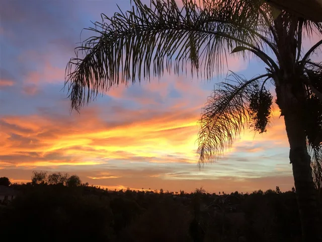 1418 Banyan Dr, Fallbrook, California 92028