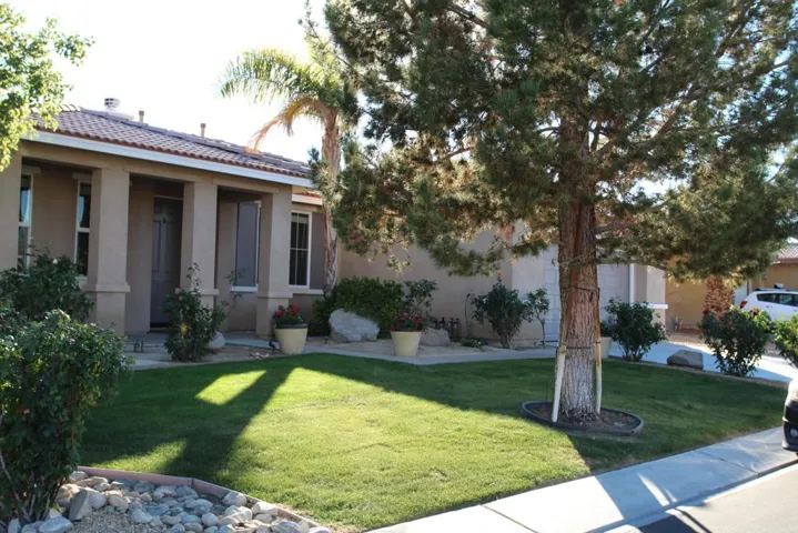 Front 1