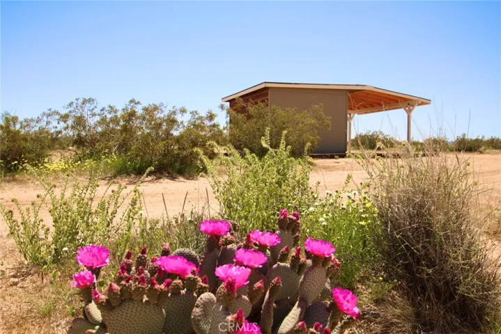 379 Mockingbird Lane, Joshua Tree, California 92252