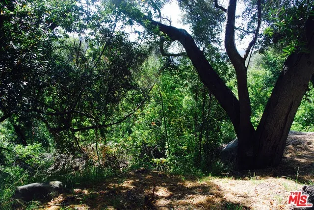 24 Montau Drive, Topanga, California 90290