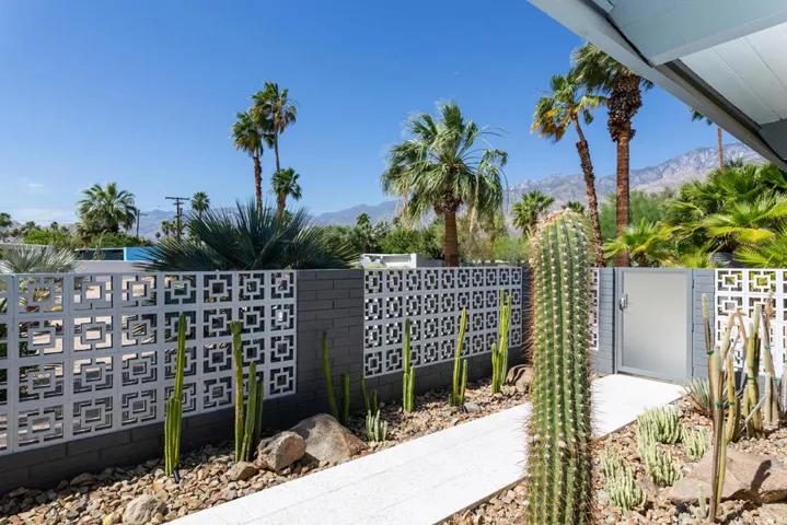 Front Cactus garden