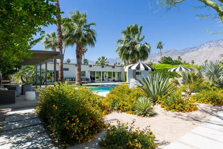 Amazing yard
