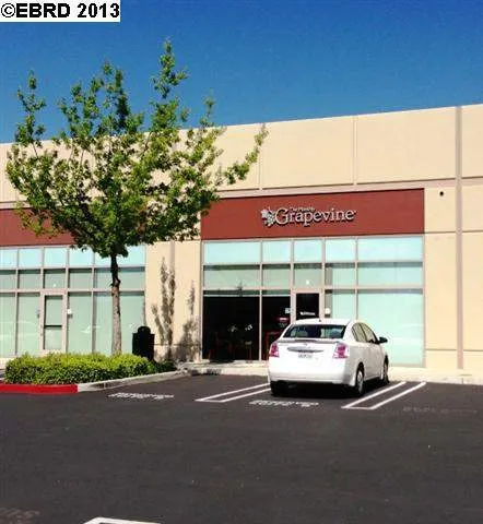9040 Brentwood Blvd, Brentwood, California 94513-4052