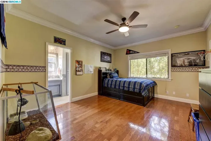3601 Valley Oak Drive, Brentwood, California 94513