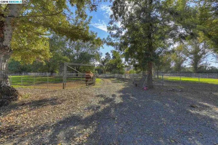 3601 Valley Oak Drive, Brentwood, California 94513