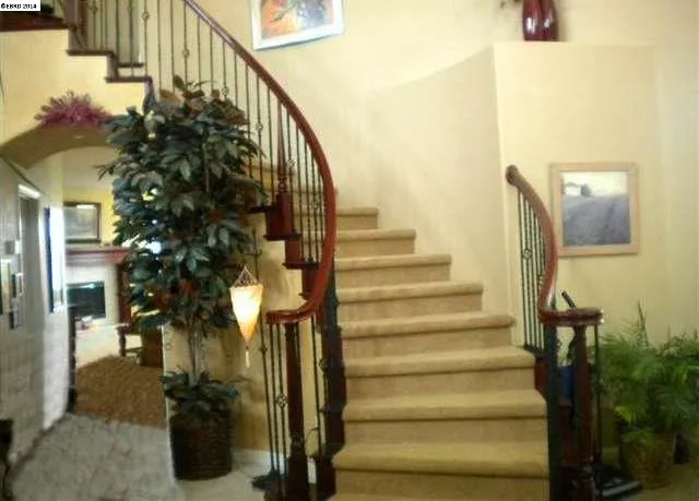 2621 Torrey Pines Dr, Brentwood, California 94513-7089
