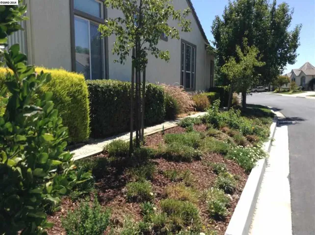 127 Liberty Ln, Brentwood, California 94513-6407