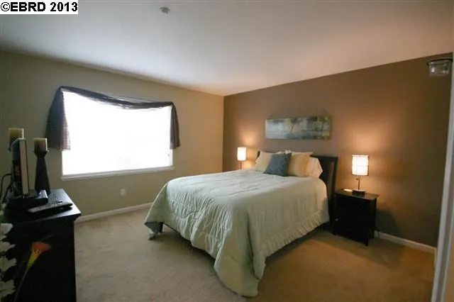 1345 Downie Point Dr., Brentwood, California 94513
