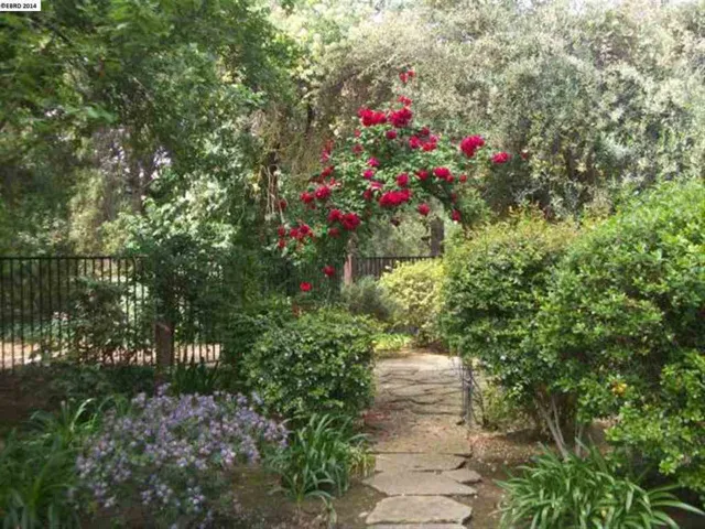 56 Payne Ave, Brentwood, California 94513-4700