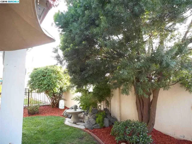 941 Centennial Dr, Brentwood, California 94513