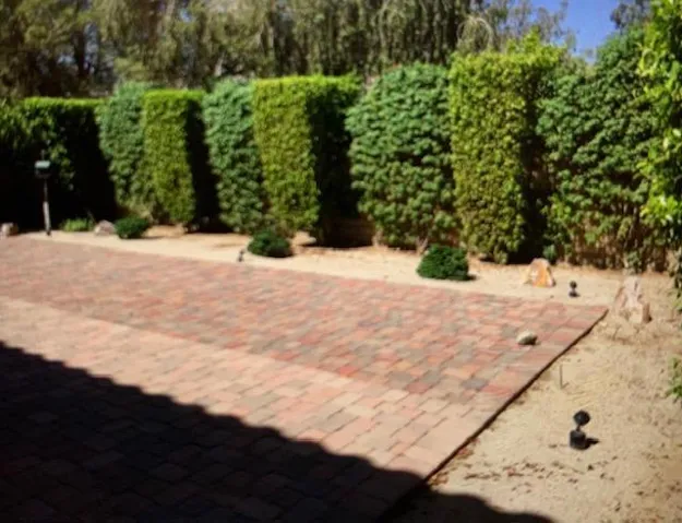 Backyard 2