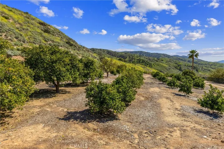29280 Silverfern Place, Highland, California 92346