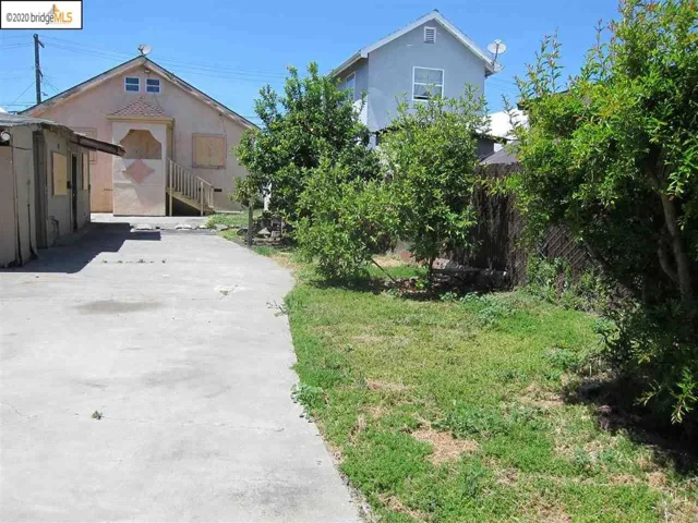 Large back yard