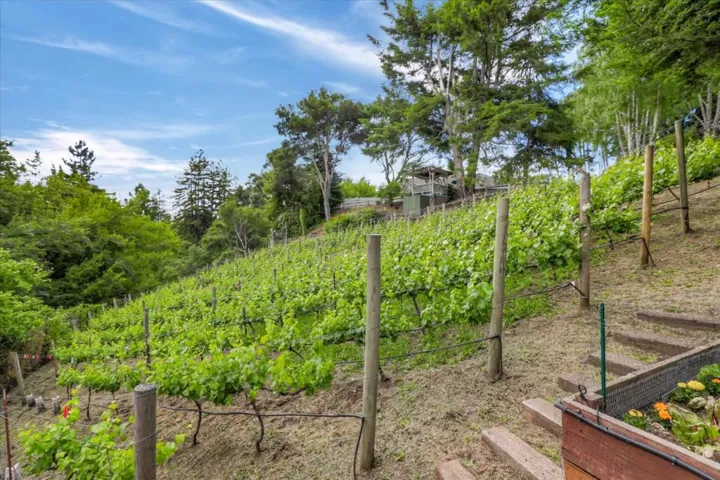 111 Kirkorian Court, Scotts Valley, California 95066