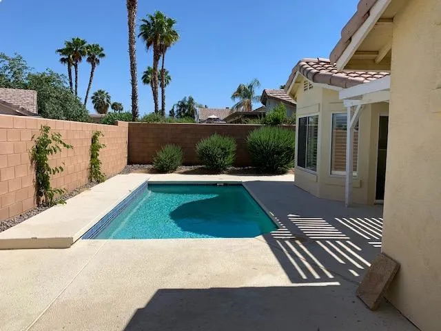 pic back yard 2