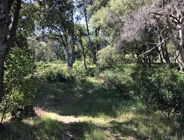 0 Parcel 2 Worman Road, Ahwahnee, California 93601