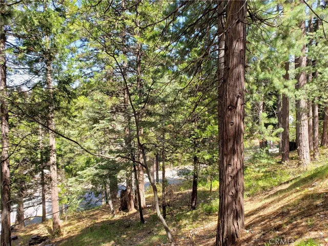 148 S Fairway Drive, Lake Arrowhead, California 92352