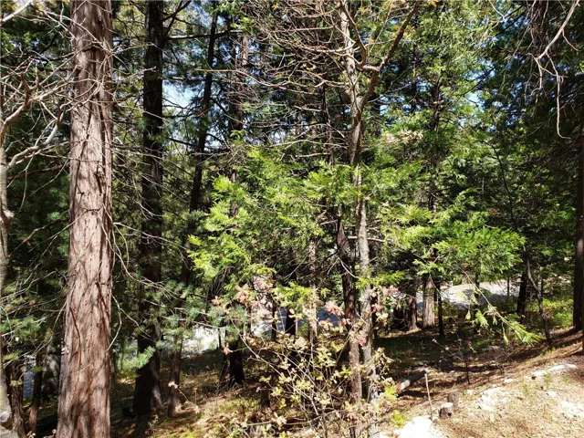 148 S Fairway Drive, Lake Arrowhead, California 92352