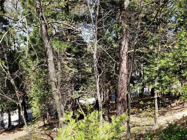 148 S Fairway Drive, Lake Arrowhead, California 92352