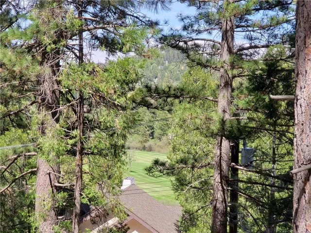 148 S Fairway Drive, Lake Arrowhead, California 92352