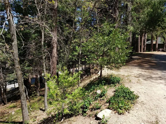 148 S Fairway Drive, Lake Arrowhead, California 92352