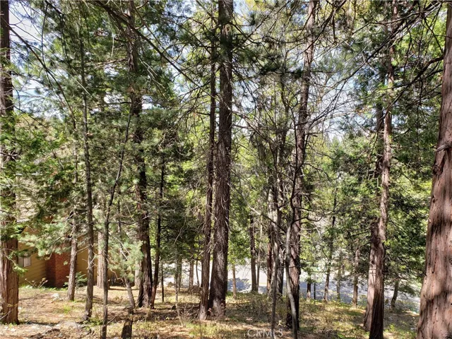 148 S Fairway Drive, Lake Arrowhead, California 92352