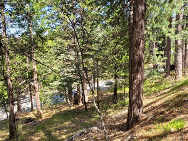 148 S Fairway Drive, Lake Arrowhead, California 92352