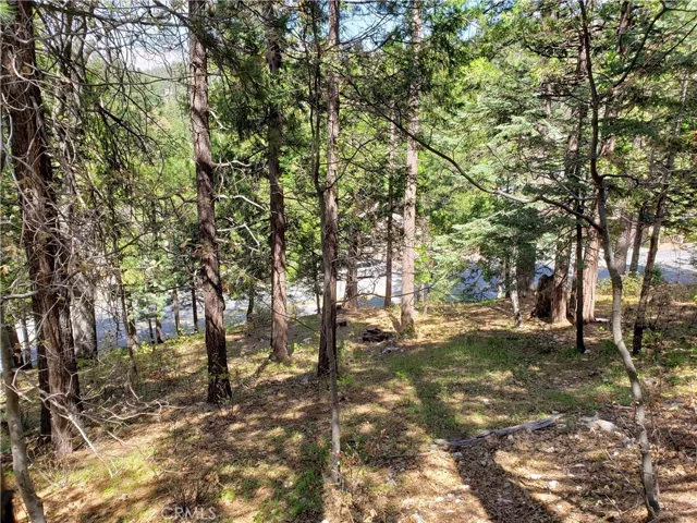 148 S Fairway Drive, Lake Arrowhead, California 92352