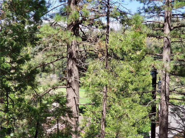 148 S Fairway Drive, Lake Arrowhead, California 92352