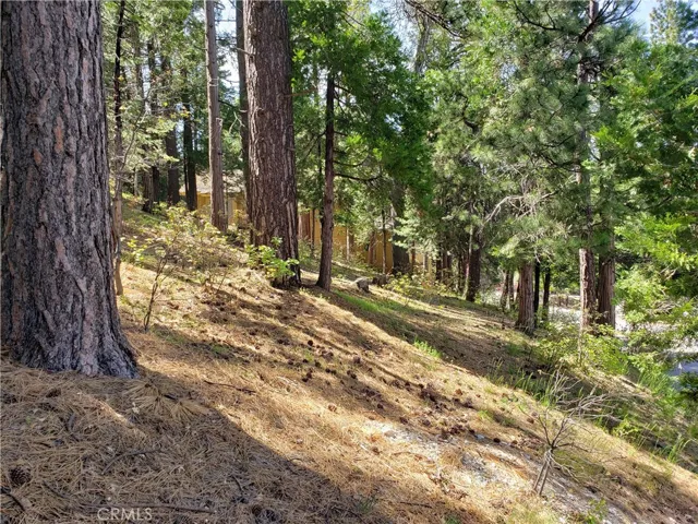 148 S Fairway Drive, Lake Arrowhead, California 92352