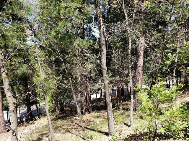 148 S Fairway Drive, Lake Arrowhead, California 92352