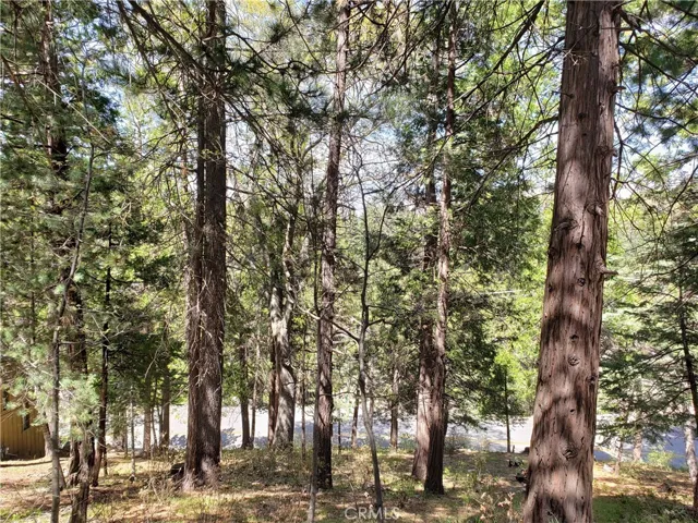148 S Fairway Drive, Lake Arrowhead, California 92352