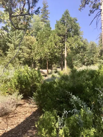 IMG_4683