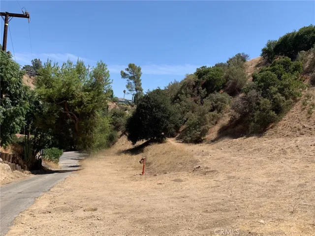 12105 Wildwood Trail, Kagel Canyon, California 91242