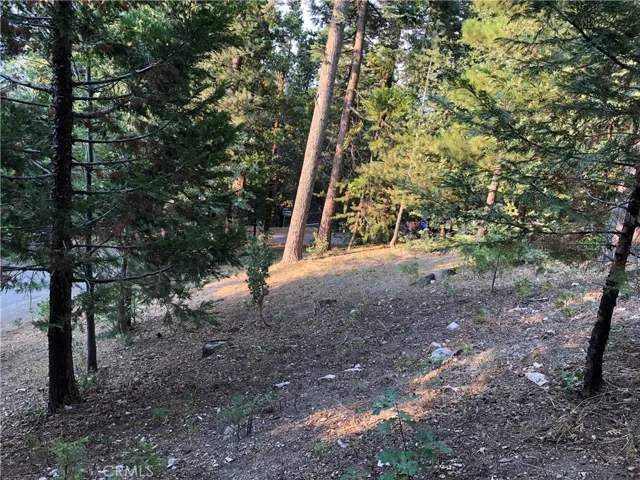 0 Castle Gate Road, Lake Arrowhead, California 92352