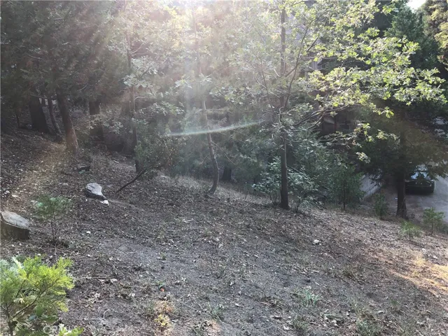 0 Castle Gate Road, Lake Arrowhead, California 92352