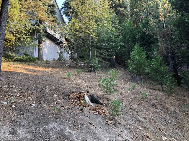 0 Castle Gate Road, Lake Arrowhead, California 92352