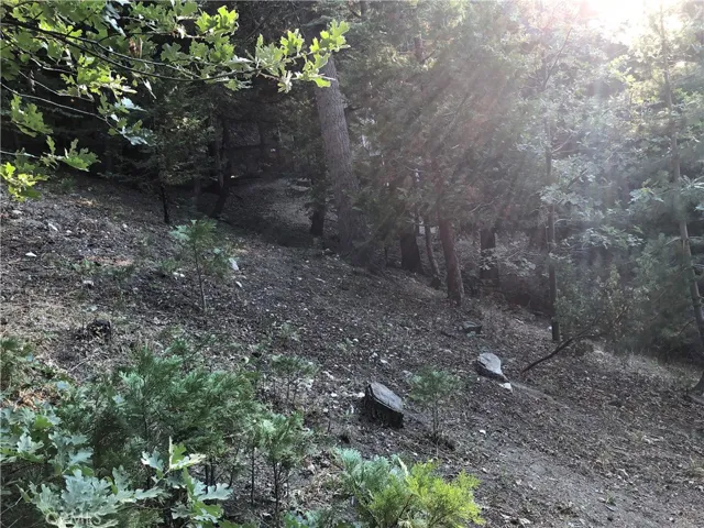 0 Castle Gate Road, Lake Arrowhead, California 92352