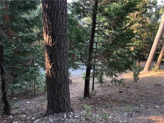 0 Castle Gate Road, Lake Arrowhead, California 92352