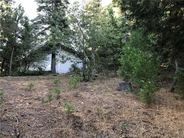 0 Castle Gate Road, Lake Arrowhead, California 92352