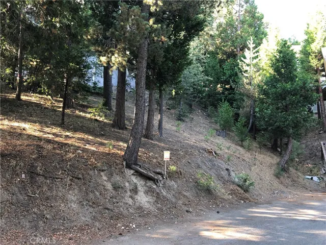 0 Castle Gate Road, Lake Arrowhead, California 92352