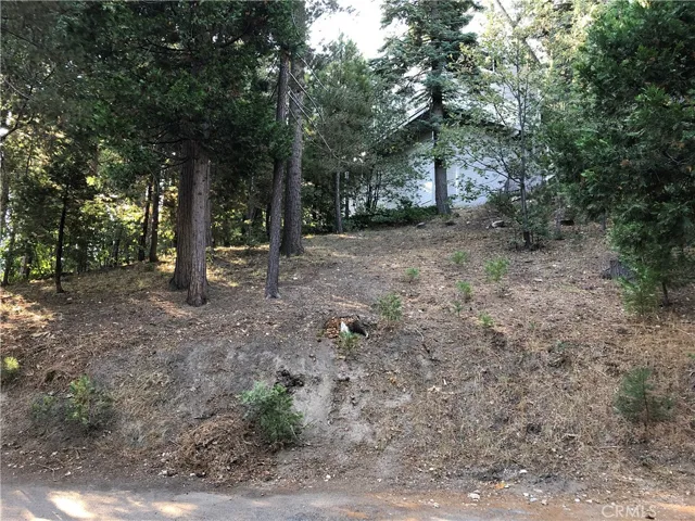 0 Castle Gate Road, Lake Arrowhead, California 92352